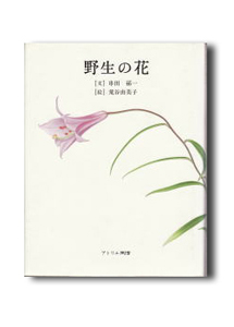 野生の花
