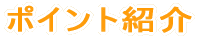 �|�C���g�Љ�